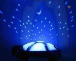 Tortue douce et lumineuse pour une ambiance nocturne apaisante
