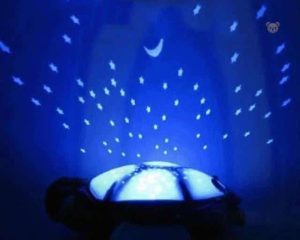 Tortue douce et lumineuse pour une ambiance nocturne apaisante
