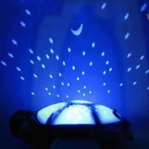 Tortue douce et lumineuse pour une ambiance nocturne apaisante