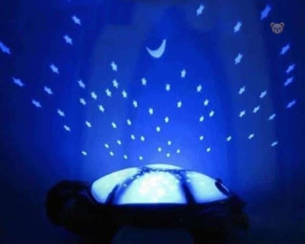 Tortue douce et lumineuse pour une ambiance nocturne apaisante