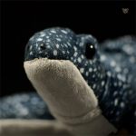 Tortue en peluche au design réaliste