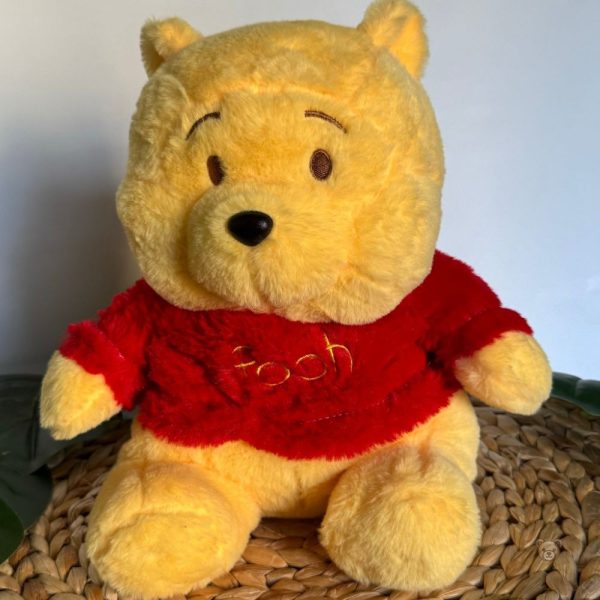Berceuse Winnie pour endormir les enfants